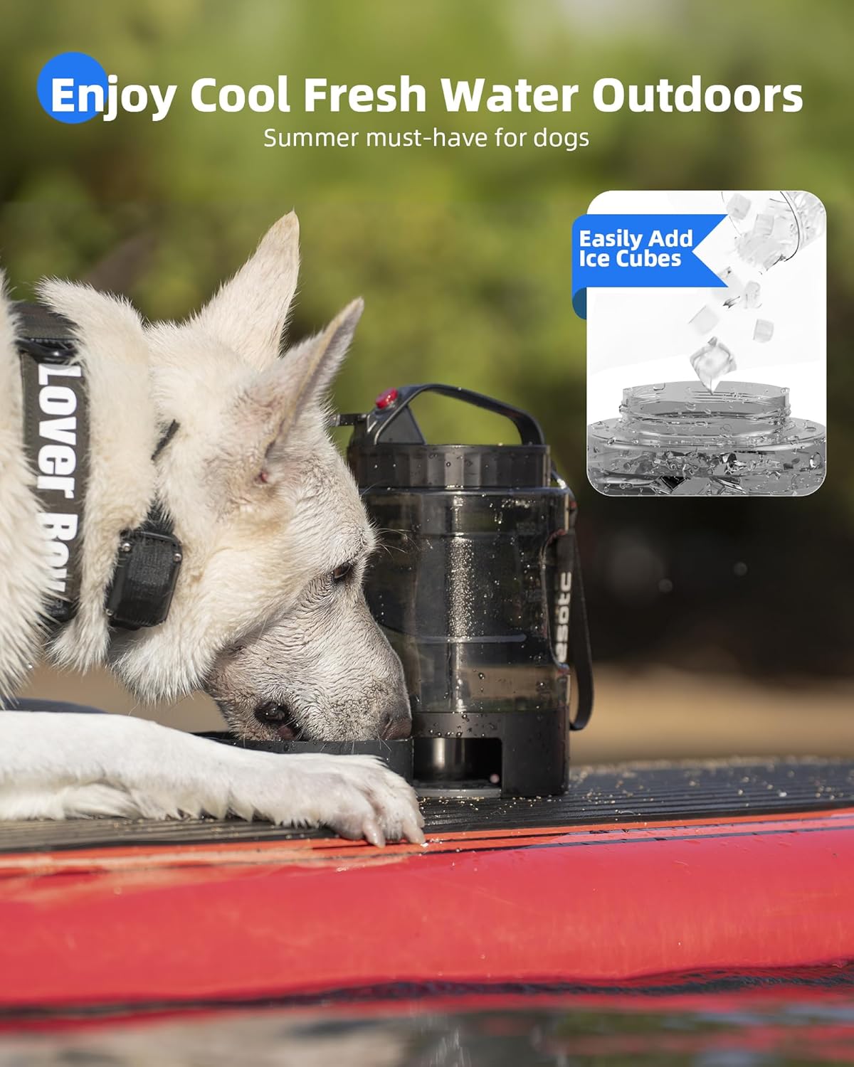 Portable Dog Travel Water Bottle with Pull-Out Drinking Bowl, 77oz Capacity - Ideal for Camping, Hiking, Beach Trips, and Outdoor Activities, Black