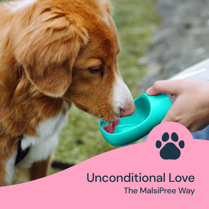 Portable Dog Water Bottle - 19 Oz, Blue - Leak-Proof Water Bowl Dispenser with Lock for Hiking, Travel & On-The-Go